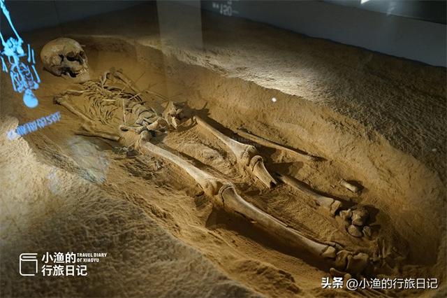 第一次逛博物馆被吓到！7000年前少女，遭百人残害，历史真相为何