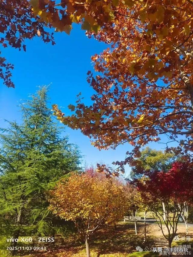 青岛即墨马山寻趣:一座地质公园的秋日私语|申艳娟