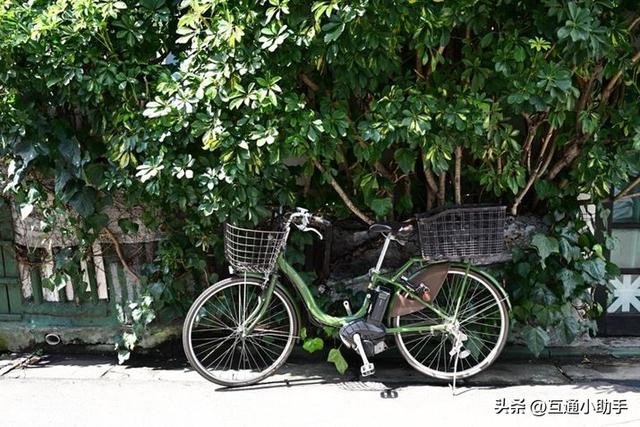 F1.2的魔力！用尼康“ Z 35mm f/1.2 S”拍摄“柔美虚化的广角人像”