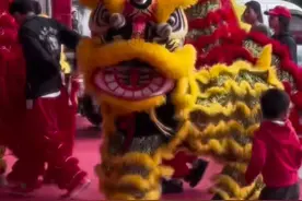 舞狮不经意撞到小朋友，随后单手扶起，网友被这只手“帅”到了图片