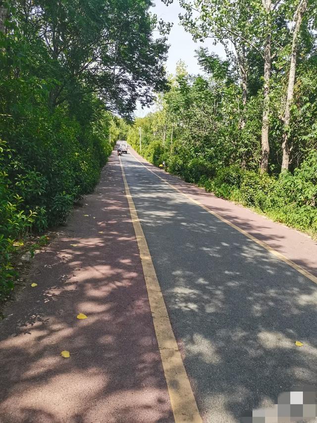 我是上海人，在河南洛阳待了5天，憋不住想说说我的感受和疑问！