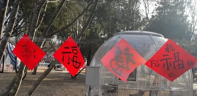 锁定丰台！元宵节最全嗨玩指南来了