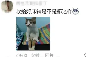 原来刚开学的时候大家都在装啊？我就知道有些人设很难不崩！图片