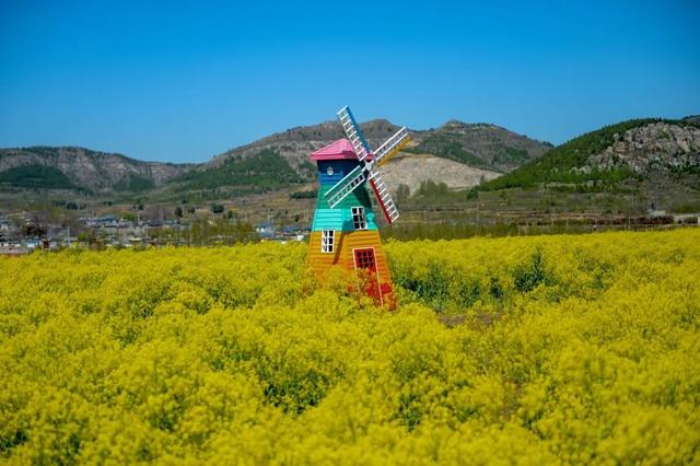 《济南中医药文化旅游》地图出炉！30个中医药文化宝藏地别错过！