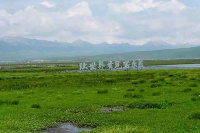 “铁腚大巴”甘南线第三站：那里的绿水青山，让生态游借势生金