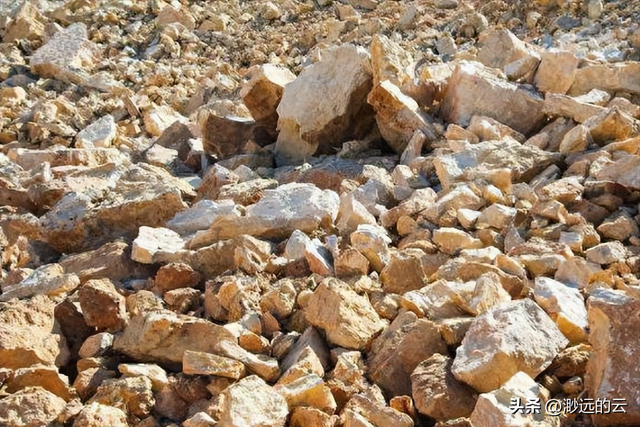 特朗普向全球发出通牒：180天内必须对中国动手，不帮忙就加税