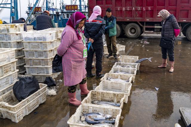 大连金州：中国北方最大的国家级渔港