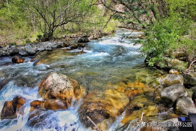 绿野仙踪+山水秘境！快来黑河抓住夏天的尾巴，奔赴一场绿意清凉之约