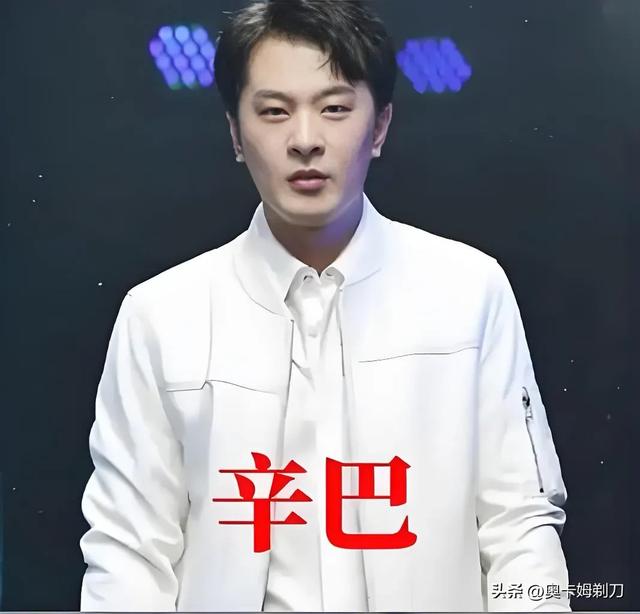 辛巴：从“草根逆袭”到“退网风波”——直播江湖的传奇与争议