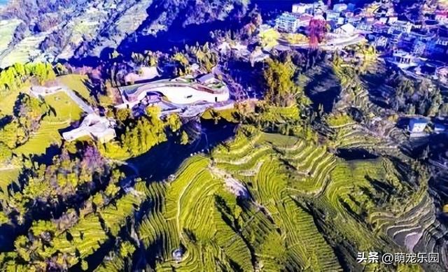 晨曦万亩茶园苏醒，摄影发烧友抢占制高点，茶旅福地美得令人心醉