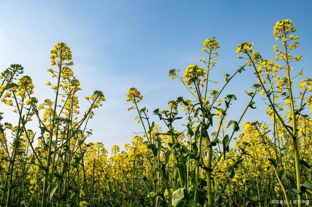 情感爆文:《爱一个人，就是愿意为他改变》