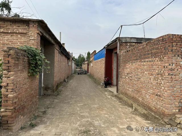 冠县乡韵·桑阿镇轧庄