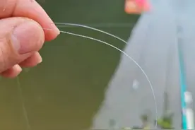 断线就是鱼太大？别急着拍大腿，老手告诉你钓鱼断线的3大真相图片