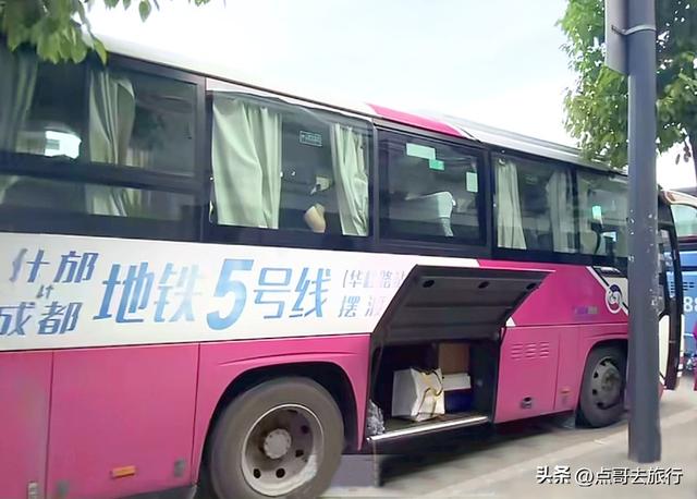 四川又一高山杜鹃惊艳了，刚好进盛花期，云海中的花园，非常唯美