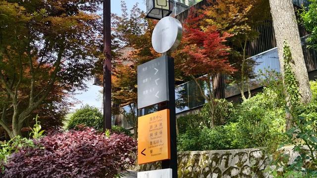 七夕孤岛计划：躲进680亩湖山，做一日神仙眷侣→