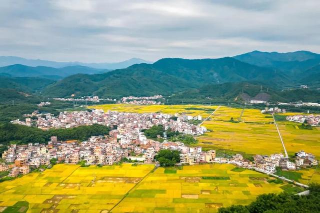 秋日限定!速来围观肇庆的绝美风光~