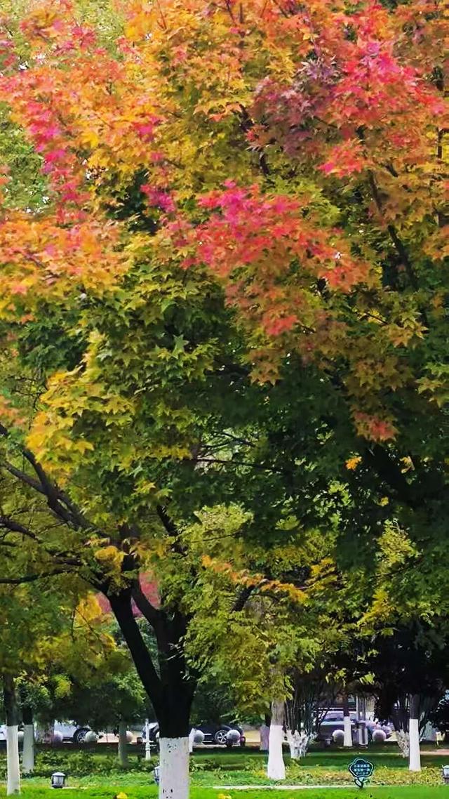 这么近那么美~猜猜这是哪？