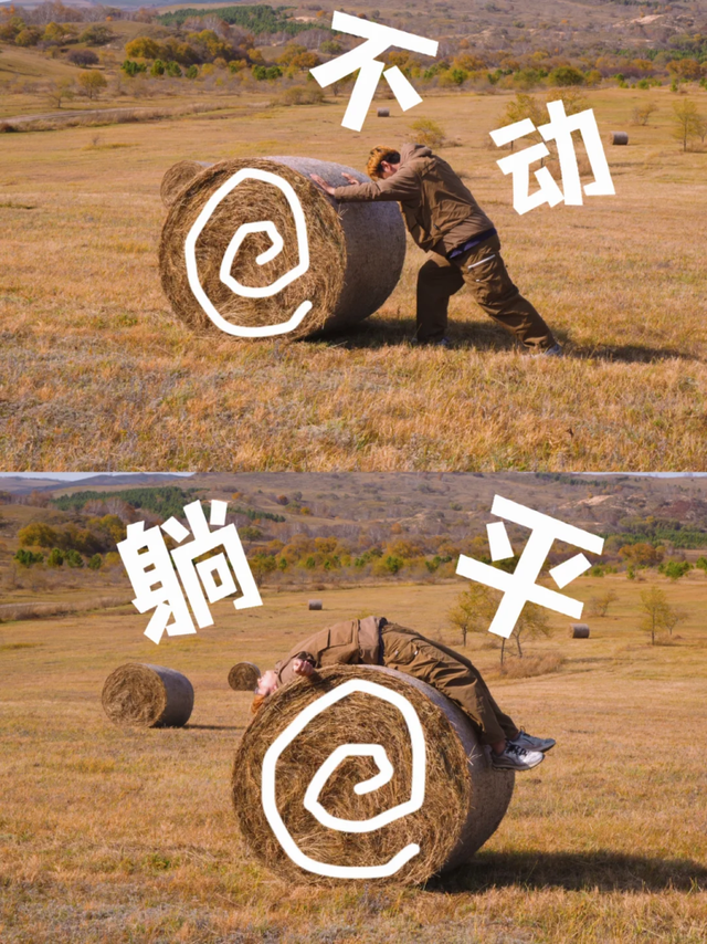 从冬粮到网红！内蒙古的草垛们正在集体“内卷”