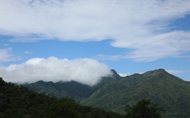 探秘“三遗产” | 一片森林与民族文化的交融共生
