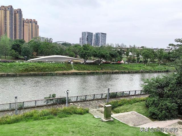 成都市内超级大草坪，美得让人惊叹，是摄影者的天堂，公交车直达