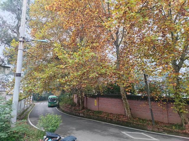 重庆江津山上的一个小山村，至今保留赶场，地名与古代皇帝有关