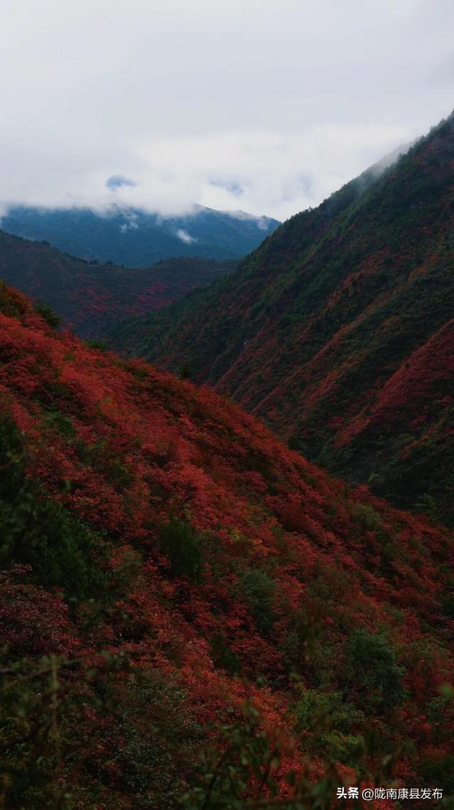 红叶遍山野，秋韵满望关