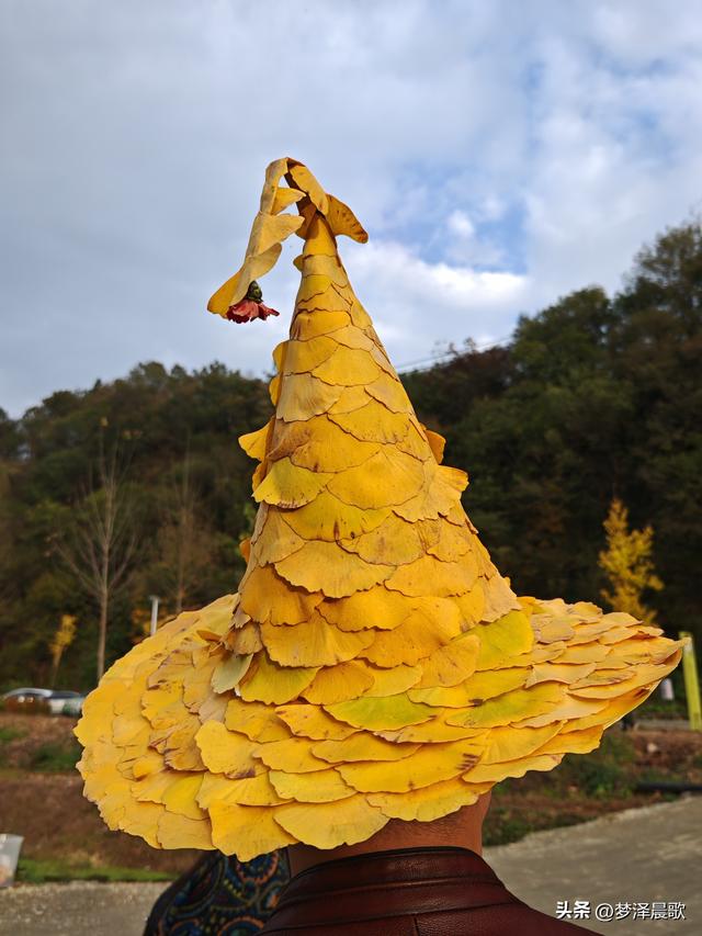 湖北随州，千年银杏谷 自然与人文的诗意交响