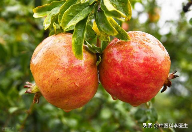 石榴再次引起关注！老话说“一个石榴五副药”，功效和禁忌需搞清