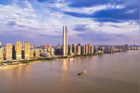 孝感纳税100强企业：金凤凰第5，福星第13，云梦县6家图片