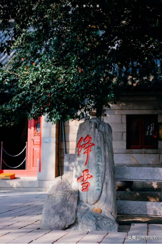 乘着地铁逛青岛｜解锁奇趣山海和人间烟火