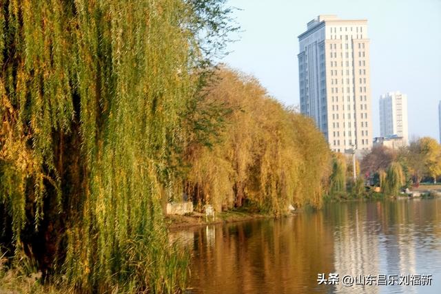 我在昌乐西湖公园拍到的游客