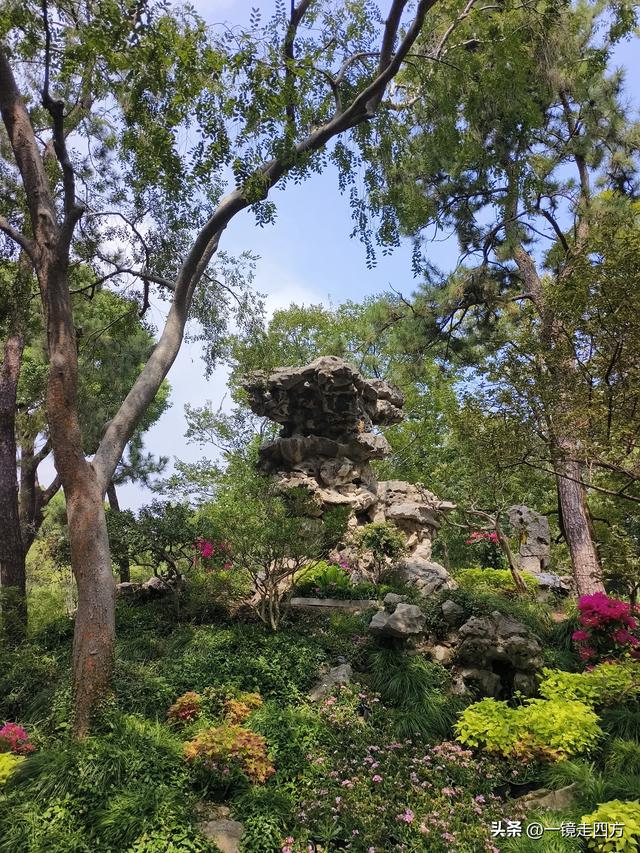 临近国庆，在还很闷热的天气里，游览市内现存最大的园林拙政园