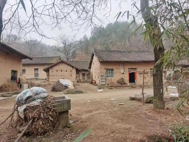 8种生活类型，看看你是哪一种