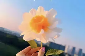 今日份分享｜今日份开心快乐的文案！图片
