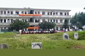 老祖宗说“10个学校9个坟”？为什么？答案来了图片