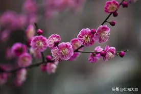 命苦的女人，有三个地方会比别人“弱”，年龄越大越明显图片