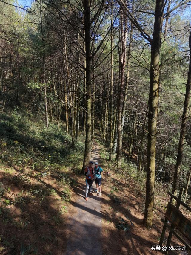 环城贵阳下坝古道凤凰山林场相思河盘龙山普渡大沟水东普渡越野线