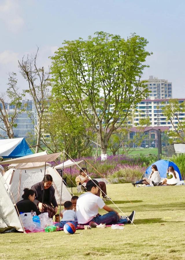 99%的新区人都在做的事，你做了没?