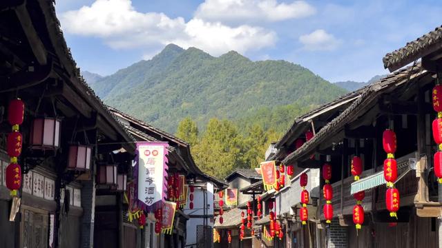 景区研学专属优惠礼包来了→