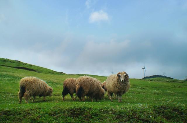 为什么说贵州是“中国最宝藏的省份”？看完这九大市州我服了