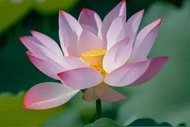 李玉顺的歌声如清泉流淌图片