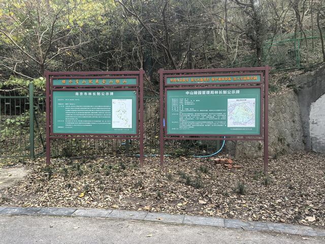 南京紫金山郊野徒步