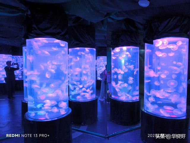 遇见虎滩——寻北之旅（三十六）