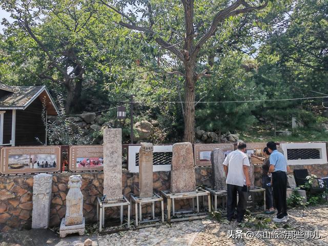 泰安：它是泰山“北大门”，田园风光让人陶醉，有株800年板栗树