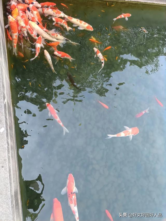 独家全网爆料——苏州最佳旅游公交线路暨探秘苏州博物馆（四）