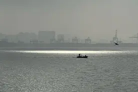 “挑剔”的消费者，两极分化的潮玩市场图片