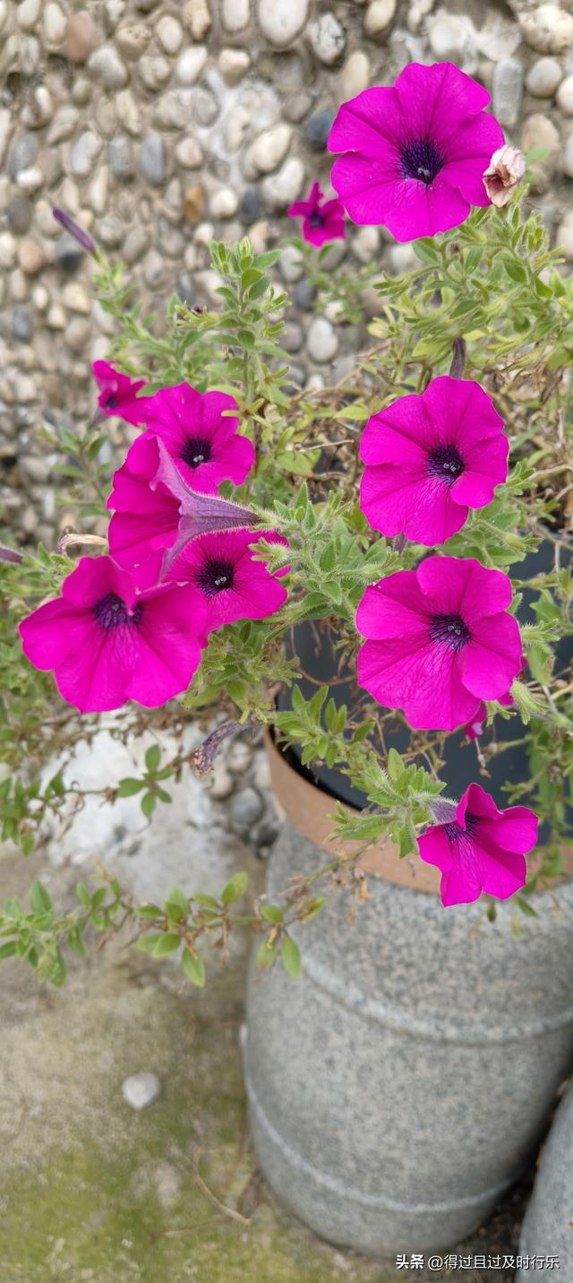 庐山游记-01来庐山，心悠然