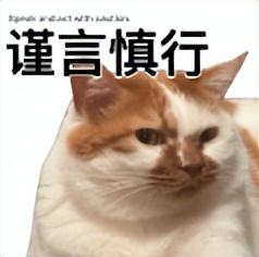 热搜爆了！西贝发长文致歉，结果彻底翻车...