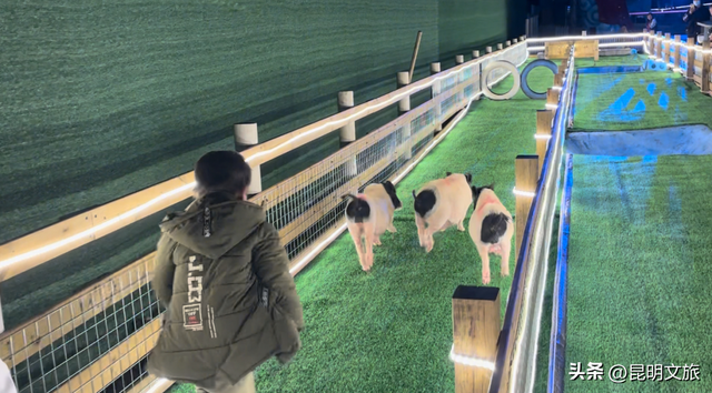 跨年狂欢不止一夜！来昆明带你从白天嗨到晚上，元旦超全活动指南来啦，嗨玩整个假期~