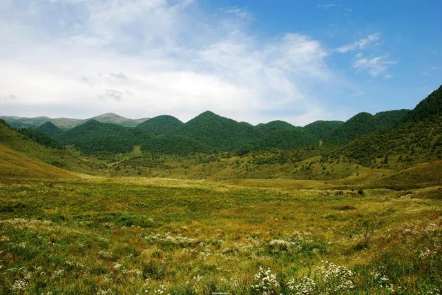 地名里的重庆 | “重庆第一峰”阴条岭：2796.8米之巅藏秘境